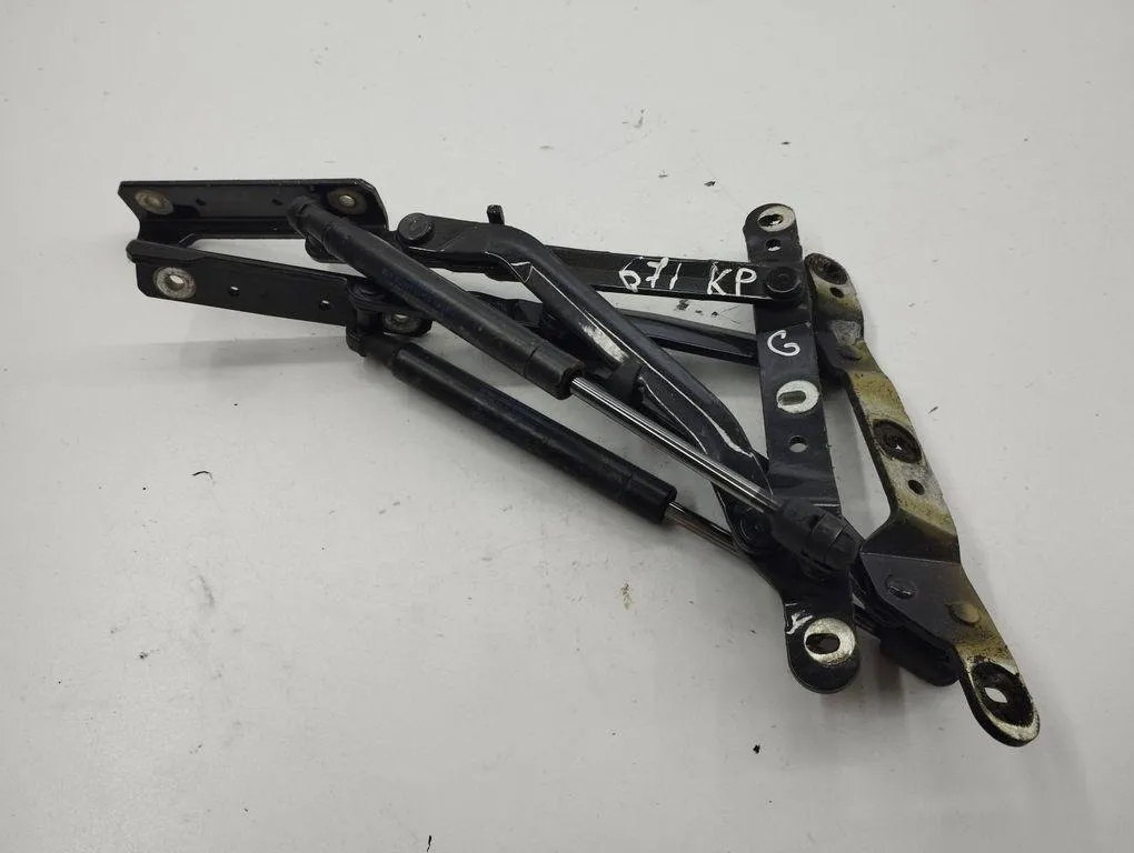 Hinge/Door check strap – Maserati QUATTROPORTE V 4.2 (2004-2026)
