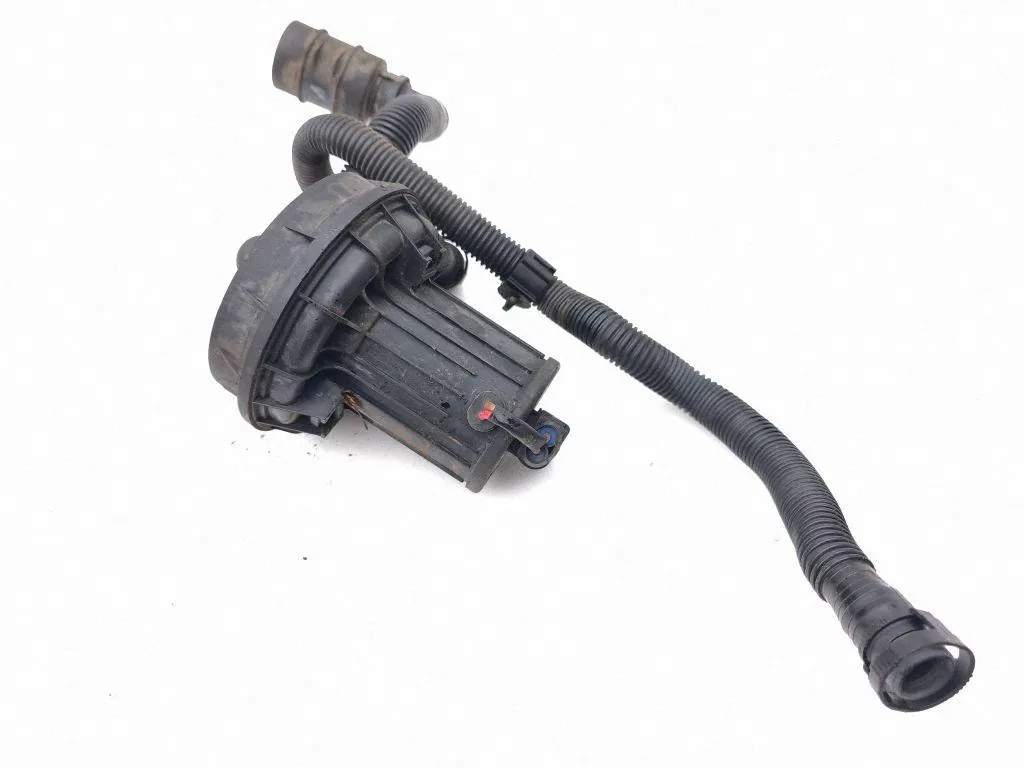 Secondary air pump – Bentley CONTINENTAL FLYING SPUR (3W_) 6.0 (2005-2010)