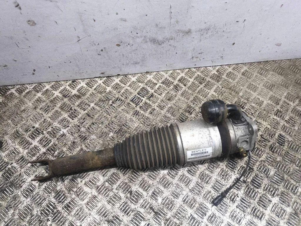 Left rear shock absorber – Bentley CONTINENTAL FLYING SPUR (3W_) 6.0 (2005-2010)
