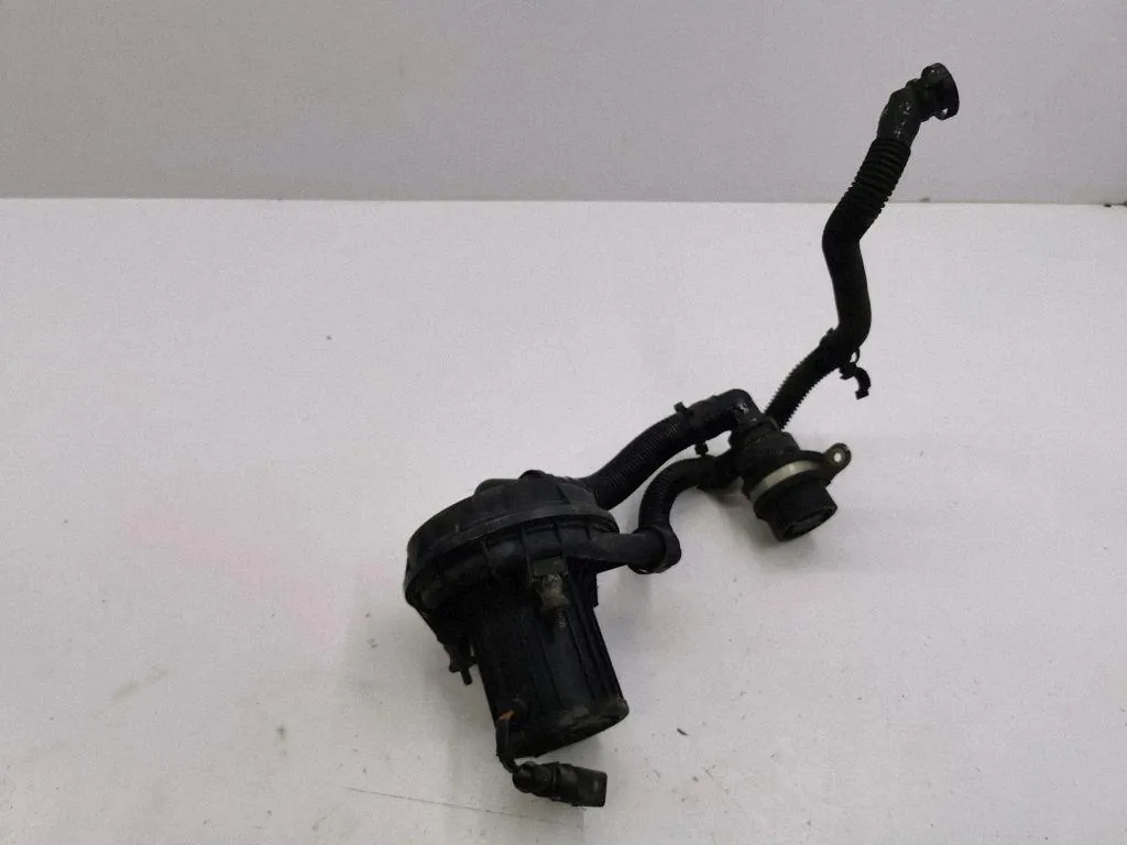 Secondary air pump – Bentley CONTINENTAL FLYING SPUR (3W_) 6.0 (2005-2010)