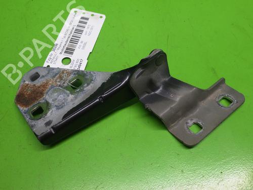 Dørhengsel/Dørstopper RENAULT MEGANE II (BM0/1_, CM0/1_) 1.9 dCi (BM0G, CM0G) (120 hp) 14733112