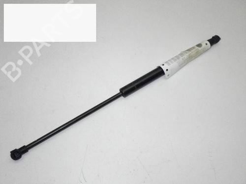 Gassdemper Bakluke FORD KA (RU8) 1.2 (69 hp) 14708541