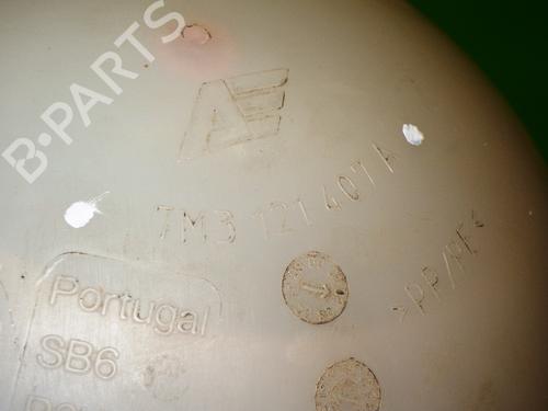 Expansion tank VW SHARAN (7M8, 7M9, 7M6) 2.0 | BP14739029C120 