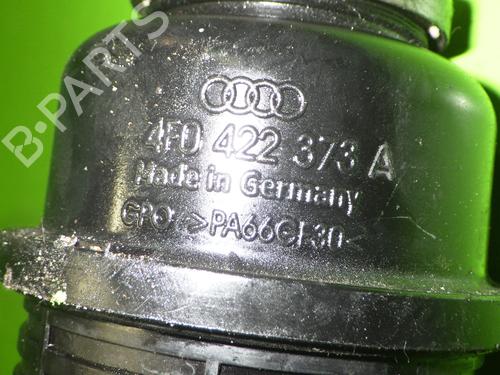 Expansion tank AUDI A6 C6 Avant (4F5) 3.0 TDI quattro | BP14734398C120 