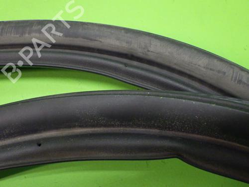 Rubber door seal TESLA MODEL 3 (5YJ3) EV AWD | BP17953446C142 