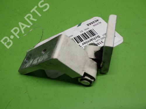 Hinge/Door check strap FIAT 500 (312_) 1.2 (312AXA1A) | BP17467137C146