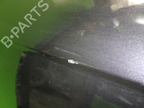 Left front door AUDI A3 (8P1) 1.9 TDI | BP21209948C2 
