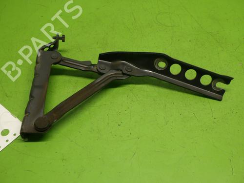 Hinge/Door check strap SKODA FABIA II (542) 1.4 | BP27976609C146 
