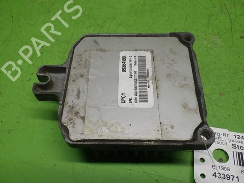 Used Control unit OPEL VECTRA B (J96) 1.6 i 16V (F19) (100 hp) 29319031