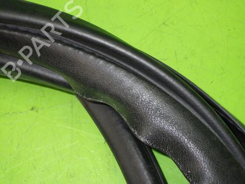 Rubber door seal LANCIA YPSILON (843_) 1.3 JTD (843.AXD11, 843.AXD1A) | BP14743306C142 