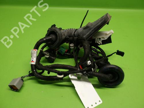 Used Wiring harness OPEL INSIGNIA B Country Tourer (Z18) 2.0 CDTi (47) (170 hp) 20228669