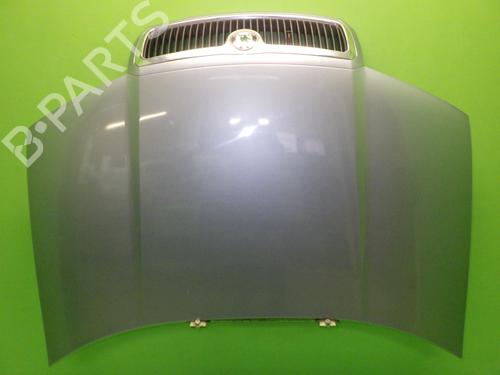Used Hood SKODA FABIA I Combi (6Y5) 2.0 (116 hp) 29442188