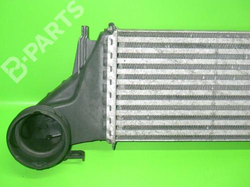 Intercooler BMW X5 (E53) 3.0 d | BP6367262M30 