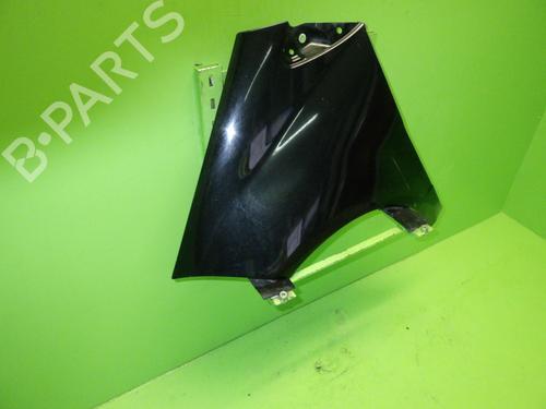 Left front fenders MERCEDES-BENZ A-CLASS (W169) A 180 CDI (169.007, 169.307) | BP25126918C41 