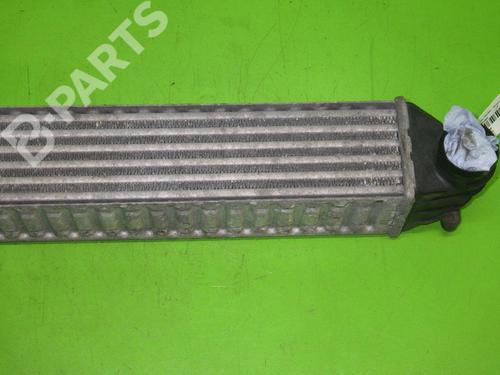 Intercooler FORD GALAXY I (WGR) 1.9 TDI | BP6380590M30 