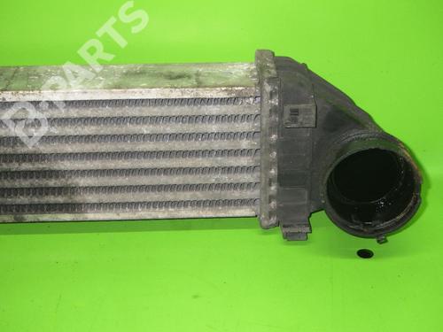 Intercooler MERCEDES-BENZ A-CLASS (W169) A 180 CDI (169.007, 169.307) | BP6387924M30 