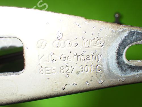 Hinge/Door check strap AUDI A4 B7 (8EC) 2.0 TDI | BP14733726C146 