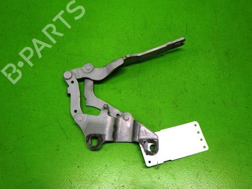 Hinge/Door check strap BMW 3 (E90) 320 d | BP14725218C146 