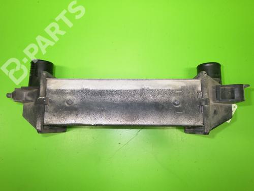 Intercooler LAND ROVER FREELANDER I (L314) 2.0 DI 4x4 | BP8595639M30 