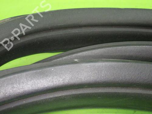 Rubber door seal TESLA MODEL X (5YJX) 100D AWD | BP22376331C142 