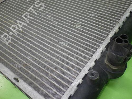 Water radiator VW VENTO (1H2) 1.9 TD | BP29901384M31