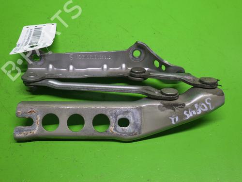 Hinge/Door check strap SKODA FABIA II (542) 1.2 12V | BP14737189C146 