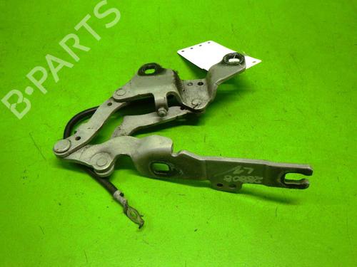 Hinge/Door check strap BMW 3 (E90) 320 d | BP14725219C146 