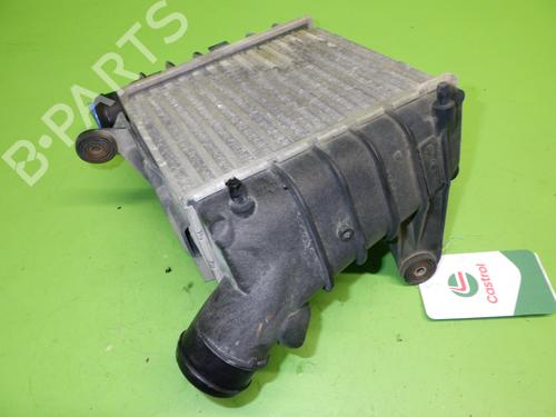 BP17367487M30 | Intercooler VW POLO (9N_, 9A_) 1.4 TDI BP17367487M30