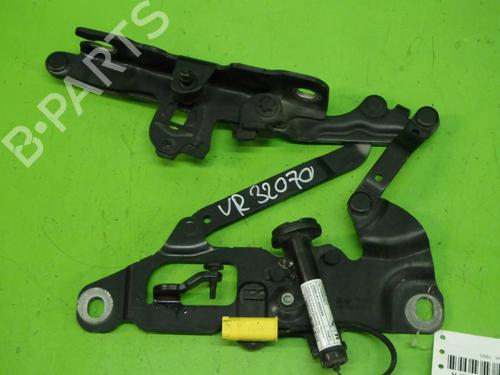 Used Hinge/Door check strap BMW 5 Touring (F11) 520 d (184 hp) 29548949