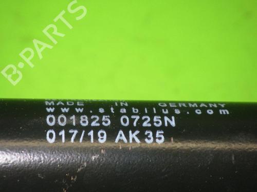 Tailgate lift support MERCEDES-BENZ M-CLASS (W164) ML 280 CDI 4-matic (164.120) | BP14732764C138 
