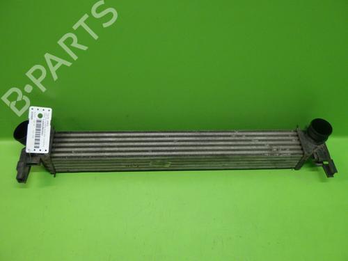 Used Intercooler VW POLO V (6R1, 6C1) 1.6 TDI (90 hp) 28284773