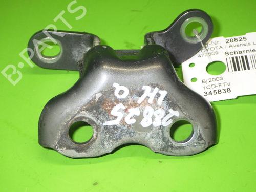 Dørhengsel/Dørstopper TOYOTA AVENSIS Estate (_T25_) 2.0 D-4D (CDT250_, CDT250R) (116 hp) 14732327