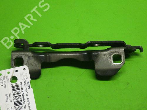 Hinge/Door check strap ALFA ROMEO 159 (939_) 2.4 JTDM (939AXD12, 939AXD1B) | BP14734784C146 