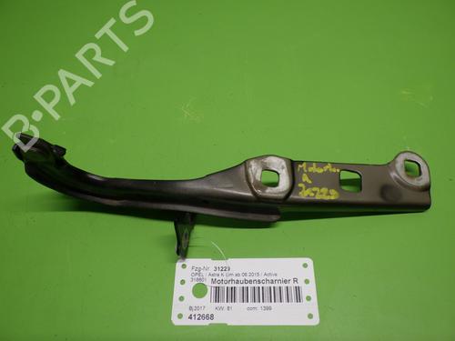 Hinge/Door check strap OPEL ASTRA K (B16) 1.4 CNG (68) | BP19530164C146 