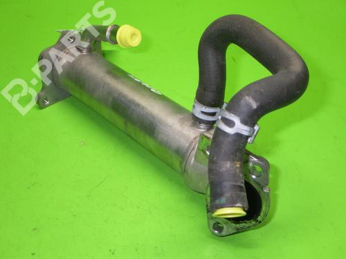 Egr FORD RANGER (TKE) 2.2 TDCi 4x4 | BP6396956M69 