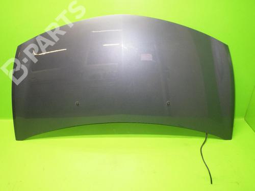 Used Hood RENAULT CLIO III (BR0/1, CR0/1) 1.5 dCi (BR1C, CR1C) (103 hp) 6391788
