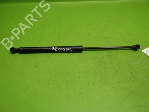 Tailgate lift support RENAULT ZOE (BFM_) ZOE (BFMC, BFMD) | BP29046440C138 