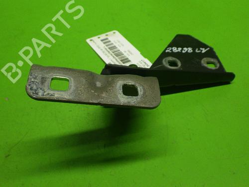 Hinge/Door check strap RENAULT MEGANE II (BM0/1_, CM0/1_) 1.9 dCi (BM0G, CM0G) | BP14733112C146