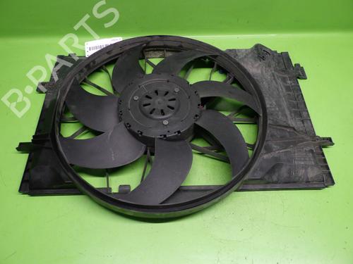 Used Electronic module MERCEDES-BENZ C-CLASS (W203) C 220 CDI (203.008) (150 hp) 29046224