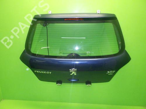 Bakluke CC/Kombi-Kupé PEUGEOT 307 (3A/C) 2.0 HDi 110 (107 hp) 12579347