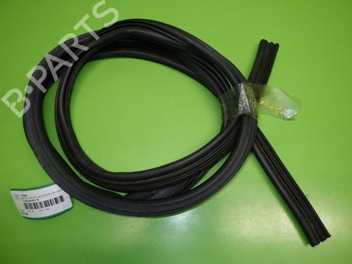 Used Rubber door seal FORD PUMA (J2K, CF7) 1.0 EcoBoost (125 hp) 16996929