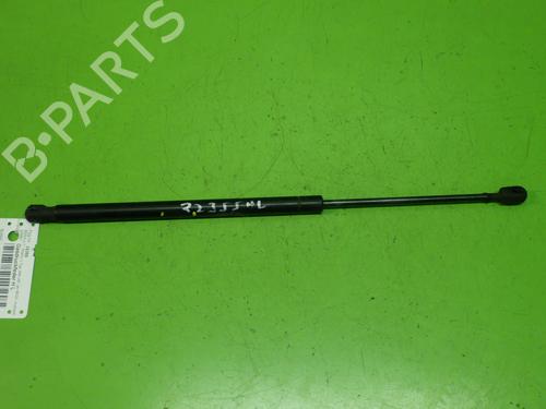 Used Tailgate lift support RENAULT SCÉNIC II (JM0/1_) 1.6 16V (JM1R) (112 hp) 30365649