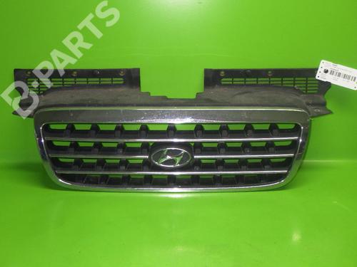 Used Grille HYUNDAI TRAJET (FO) 2.0 CRDi (113 hp) 6387935