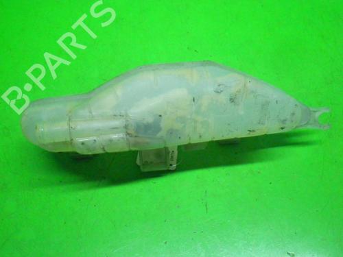 Expansion tank RENAULT CLIO III (BR0/1, CR0/1) 1.2 16V (BR02, BR0J, BR11, CR02, CR0J, CR11) | BP14715824C120 