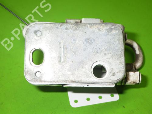 Hinge/Door check strap AUDI A3 (8P1) 1.9 TDI | BP14732161C146 