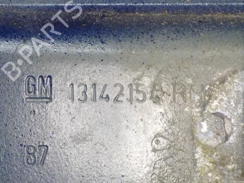 Hinge/Door check strap OPEL COMBO Box Body/MPV 1.7 CDTI 16V | BP14740836C146