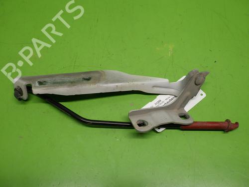 Hinge/Door check strap NISSAN MICRA III (K12) 1.2 16V | BP21836289C146 