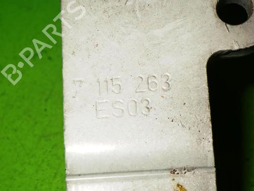 Hinge/Door check strap BMW 3 (E90) 320 d | BP14725219C146 