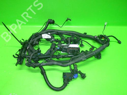 Wiring harness OPEL MERIVA B MPV (S10) 1.4 (75) | BP14718625E16 
