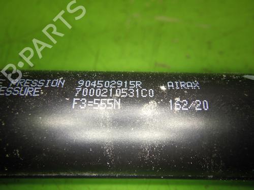 Tailgate lift support RENAULT ZOE (BFM_) ZOE (BFMC, BFMD) | BP29046439C138